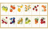 Foraged Fruit 2026 Calendar-Hand Illustrated Block Print Style Botanical Calendar