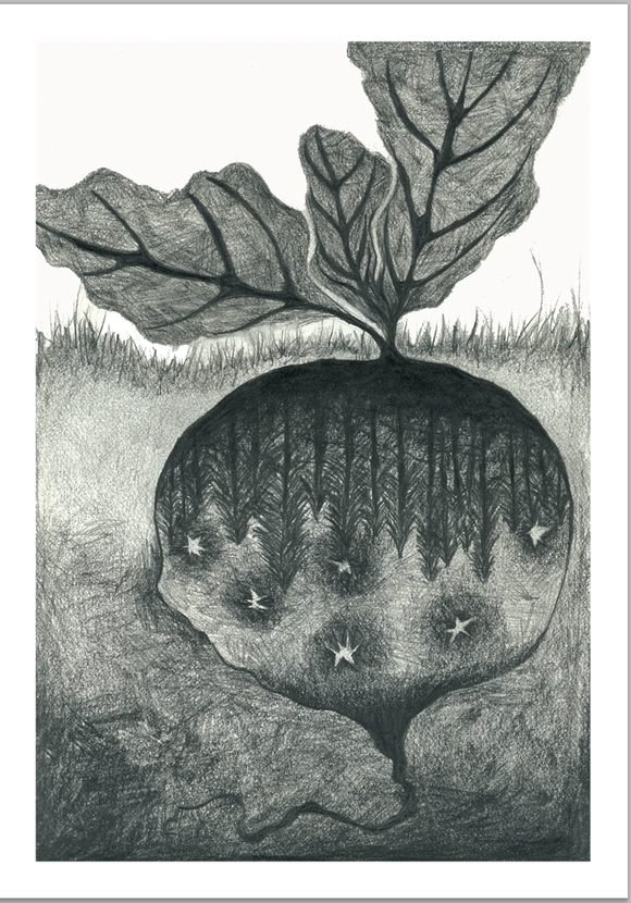 Turnip Landscape Greeting Card