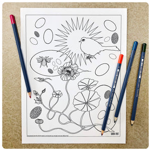 Springtime Wren Coloring Page